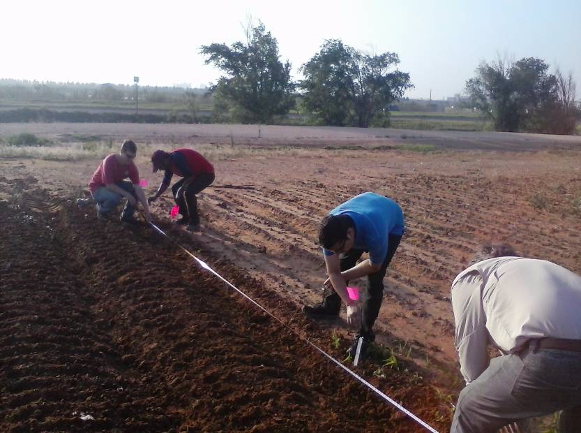 field flagging