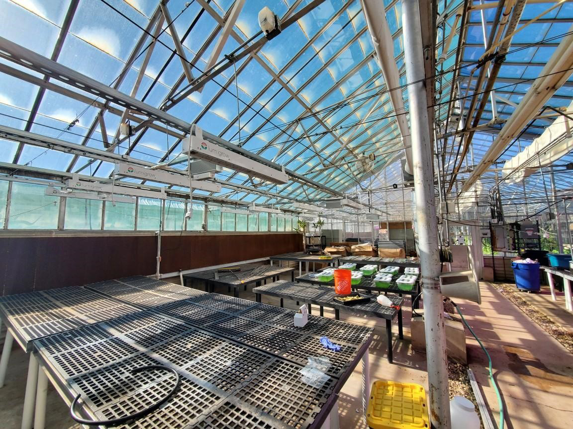 greenhouse interior