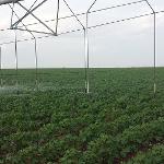 Variable rate irrigation