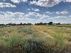 Wildlfower patch at PSS Quaker Research Farm 