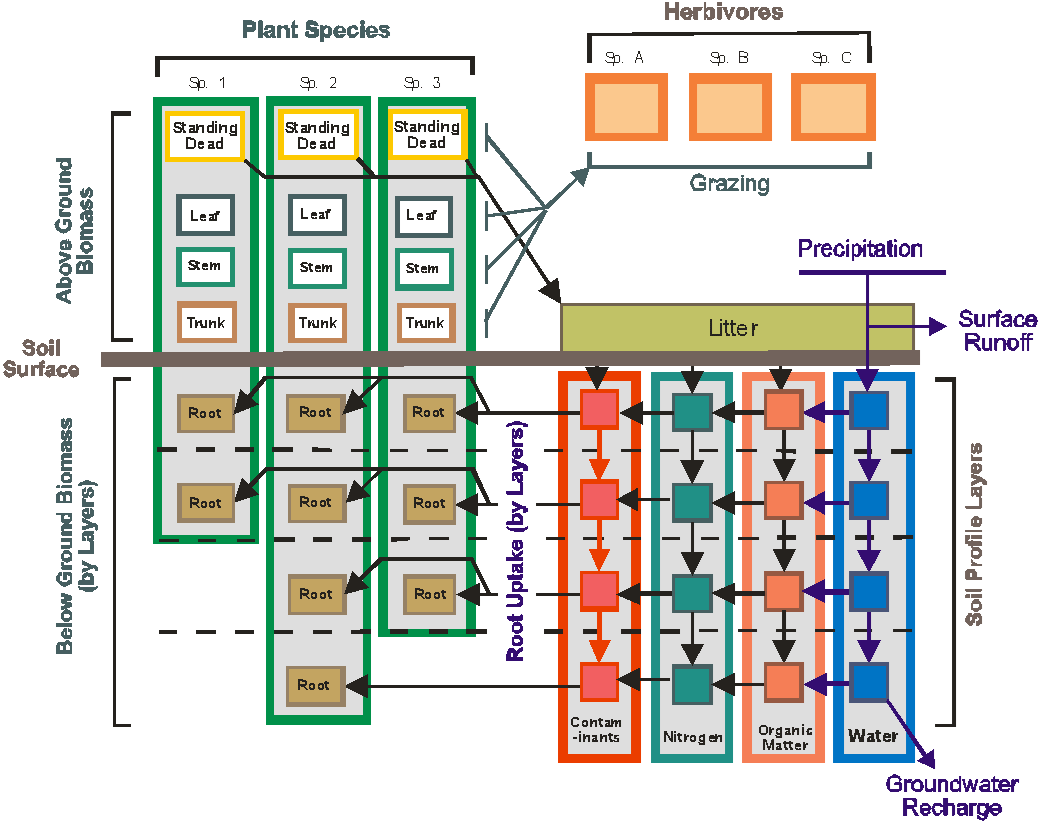 EDYS plot structure