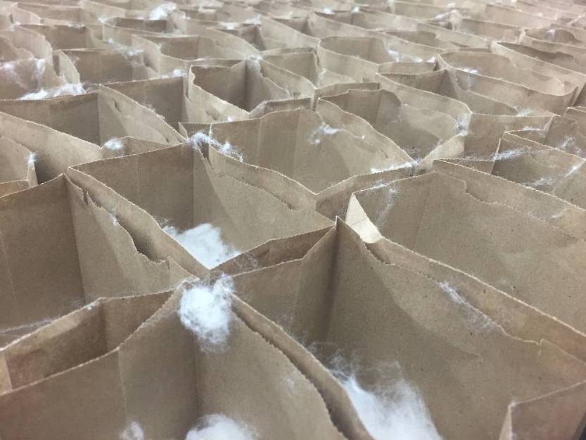 sample bags of cotton