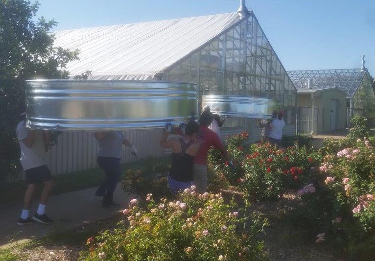 Greenhouse