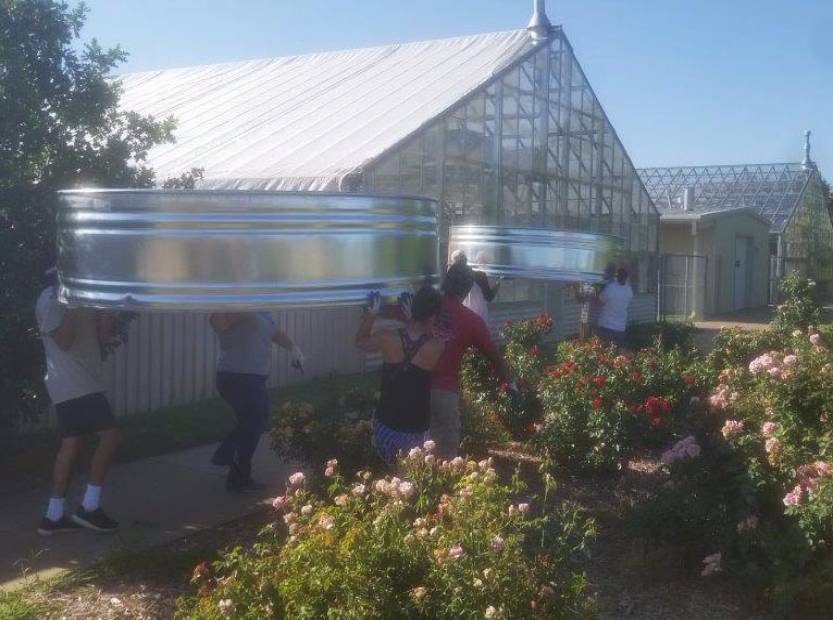 Greenhouse