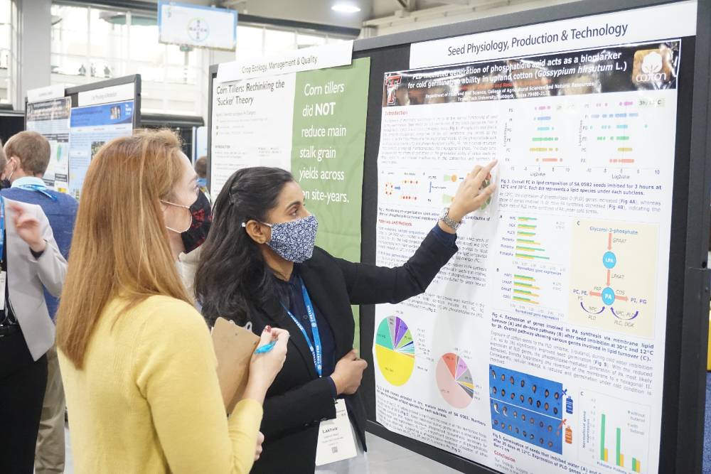 Inaugural Davis College Graduate Research Poster Contest set to launch