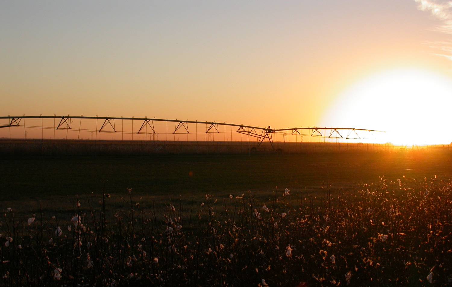Texas Tech Professors Offer Best Practices for Smart Irrigation