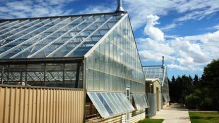 TTU Greenhouses