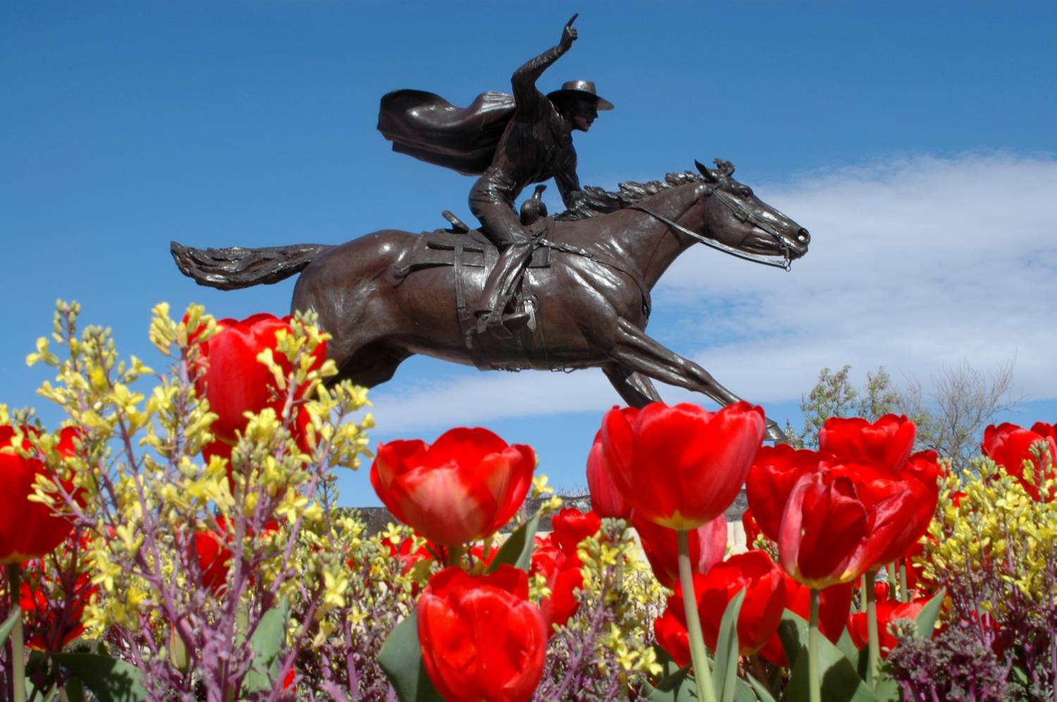 Masked Rider statue