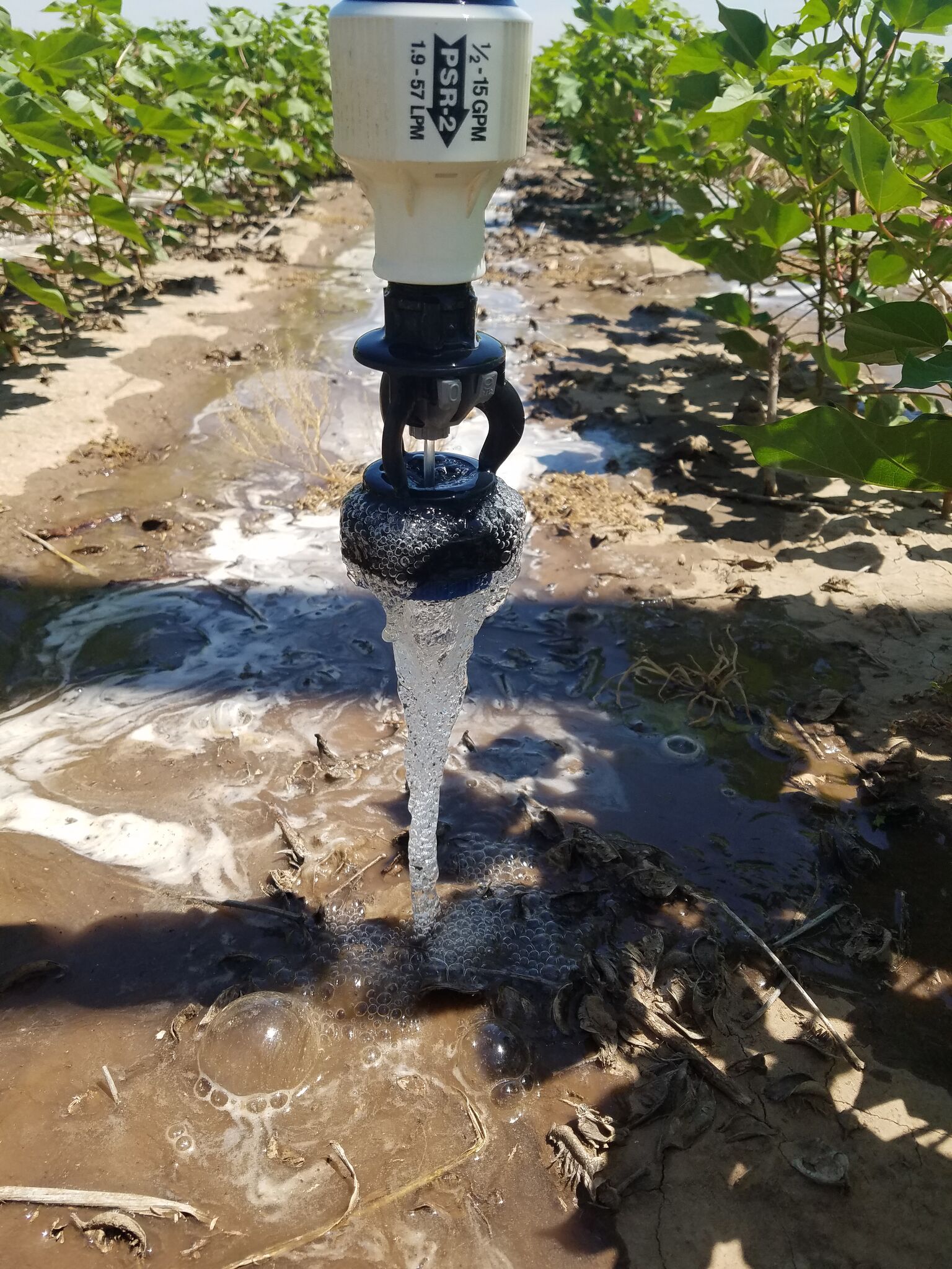 Texas Tech Professors Offer Best Practices for Smart Irrigation