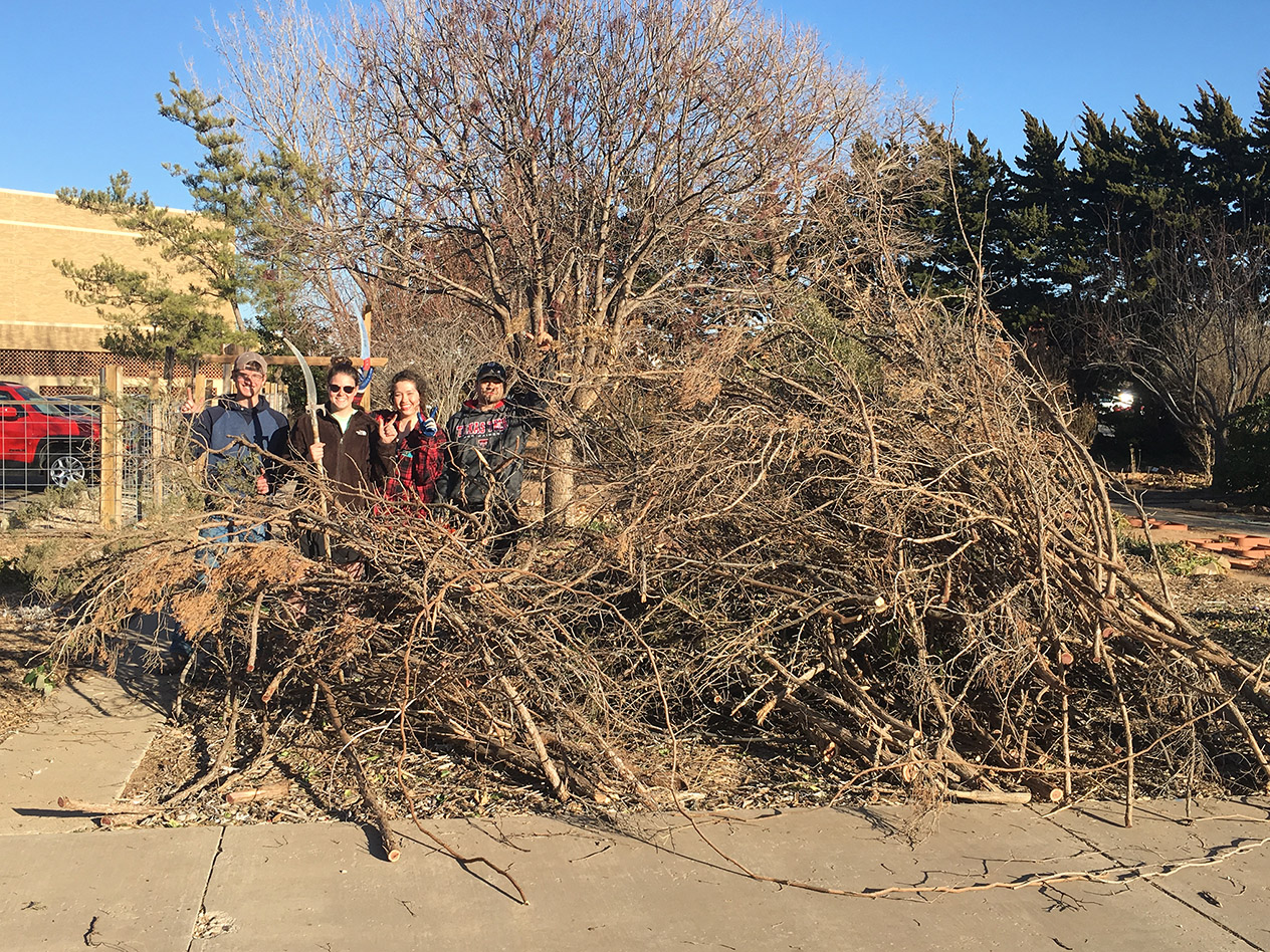 Now is the time to prune!