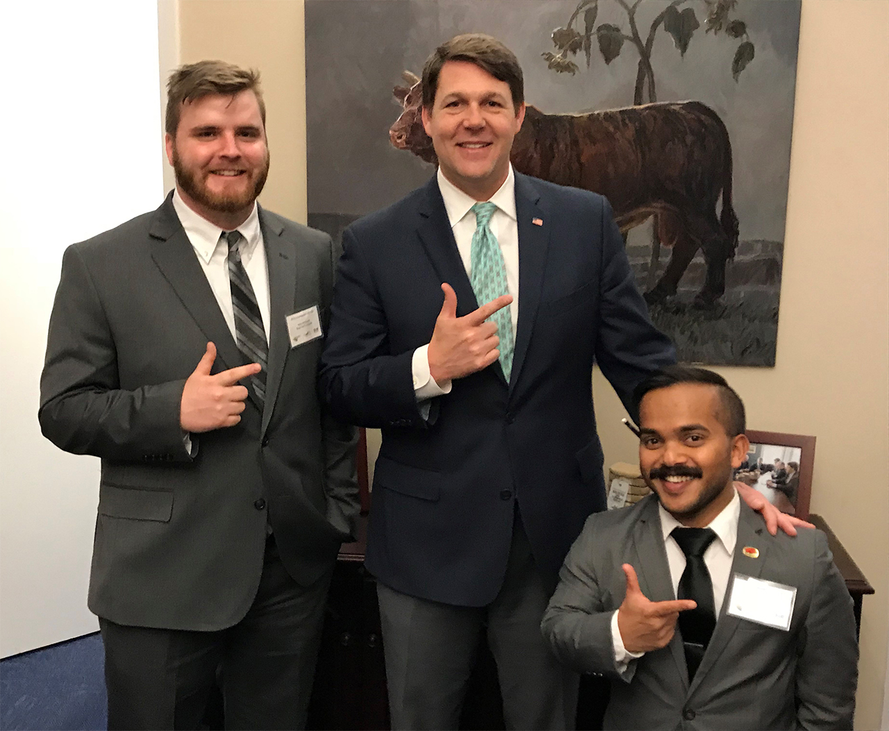 Pruning demonstration on a young live oak