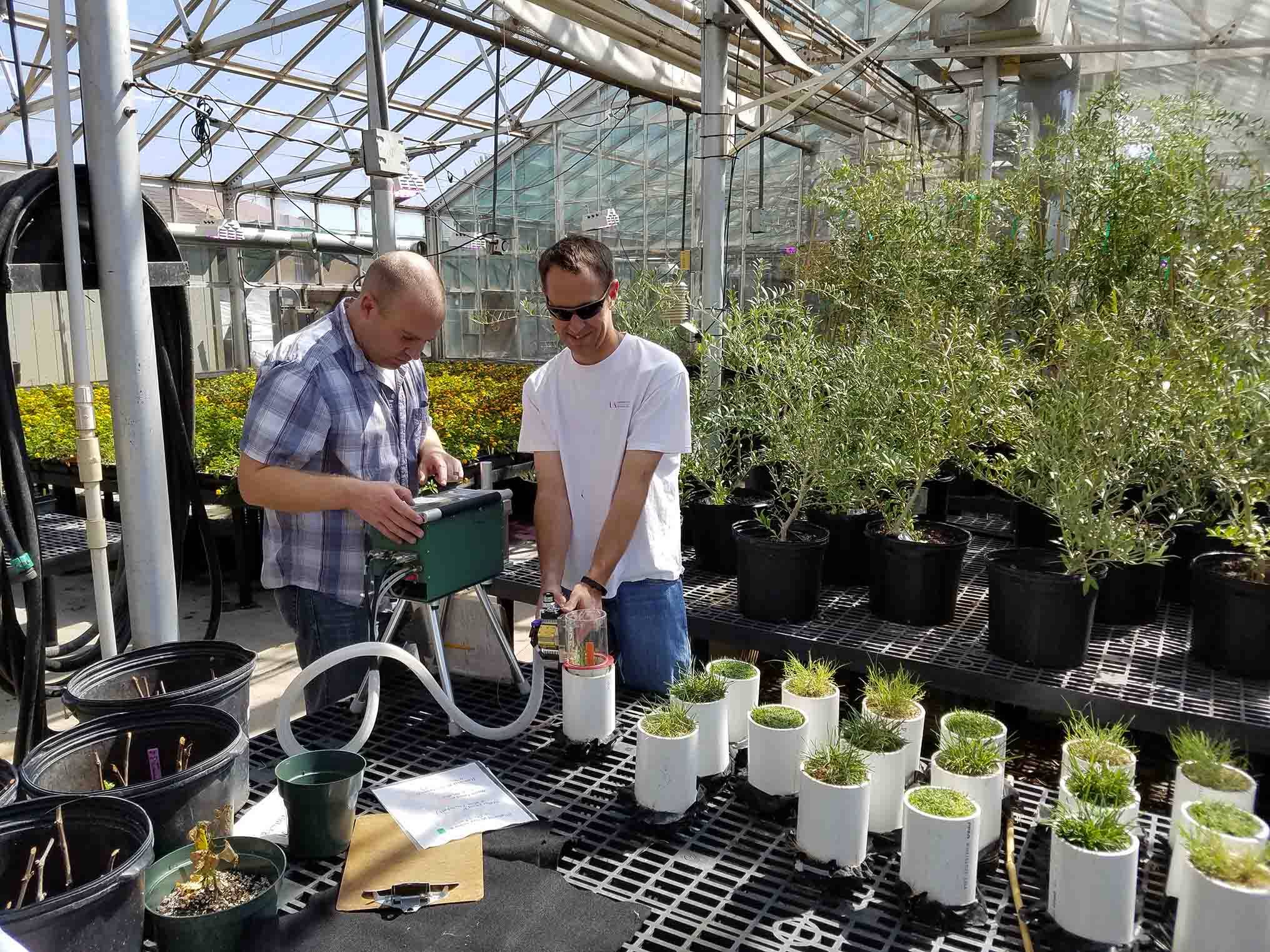 Photosynthetic measurements