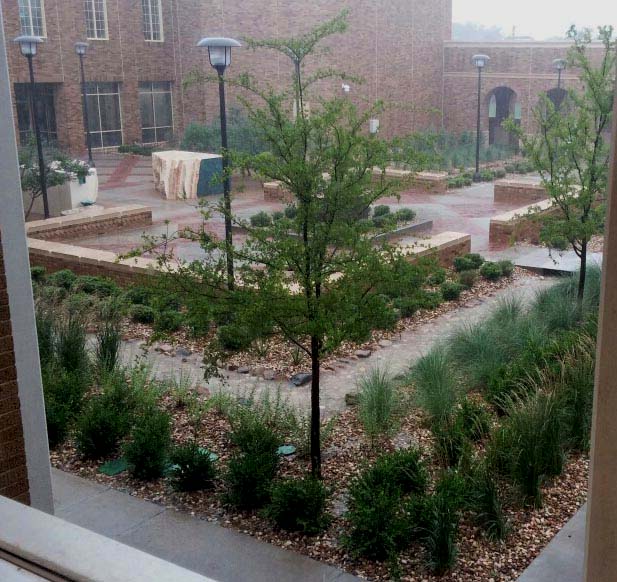 Bayer Crop Science PSS TTU Heavy Rain Lubbock TX