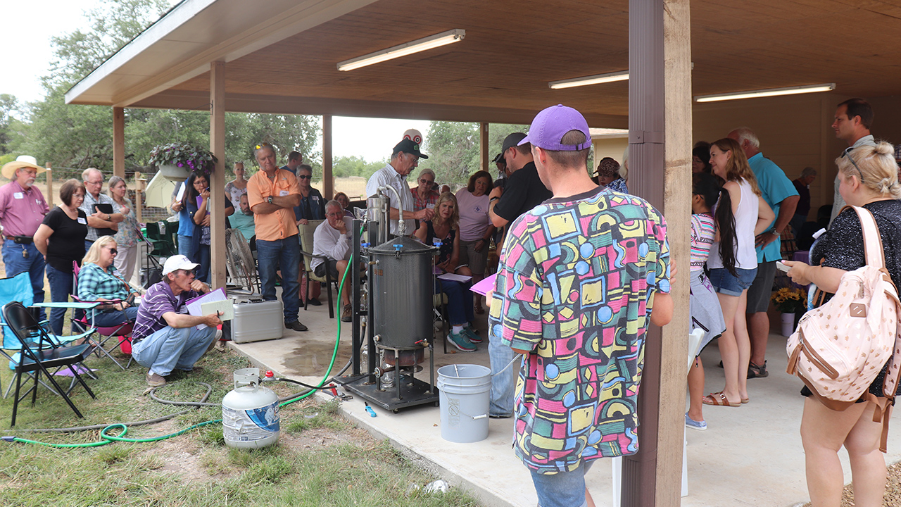 Texas Lavender Association 