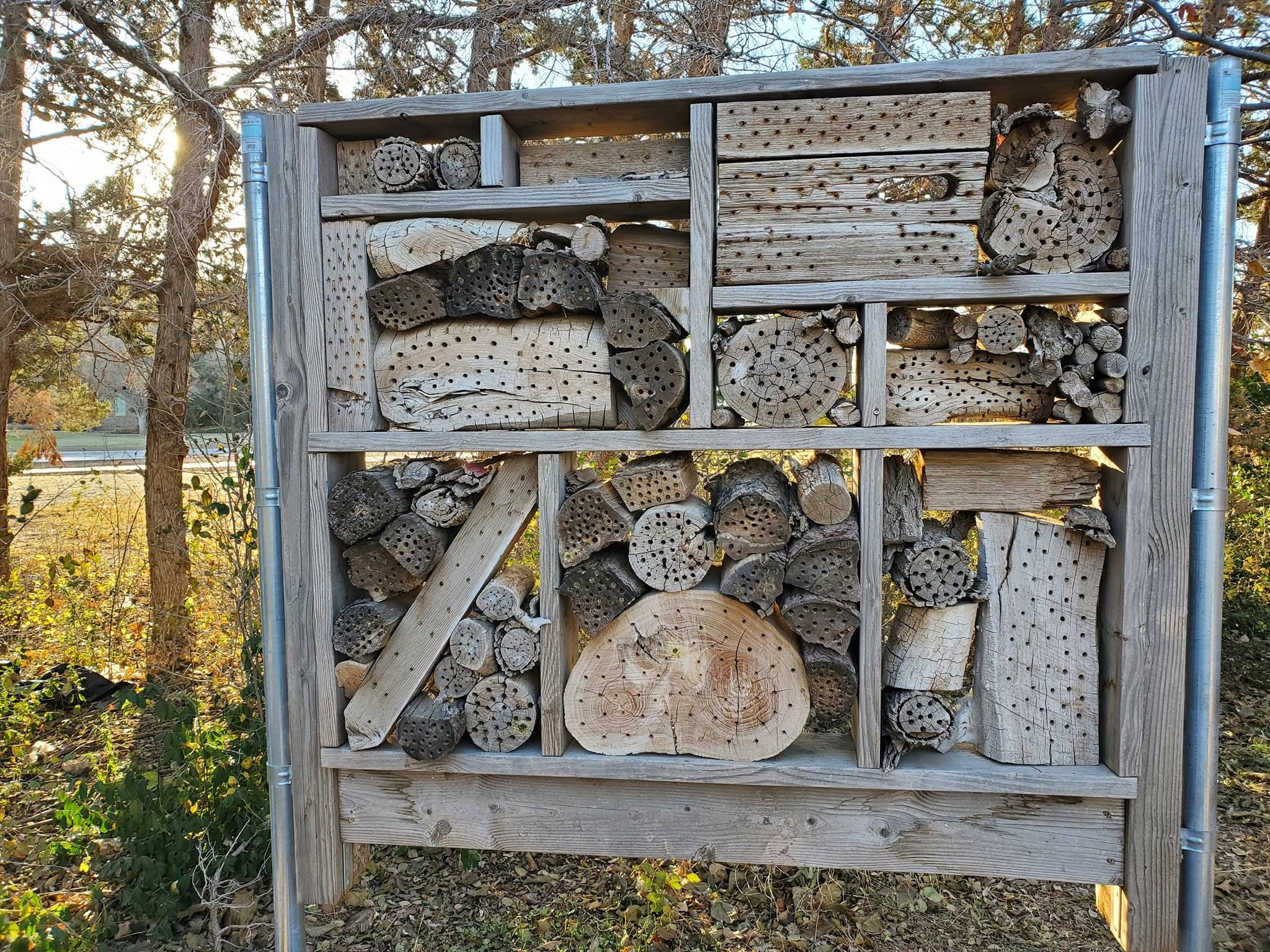 Insect Hotels