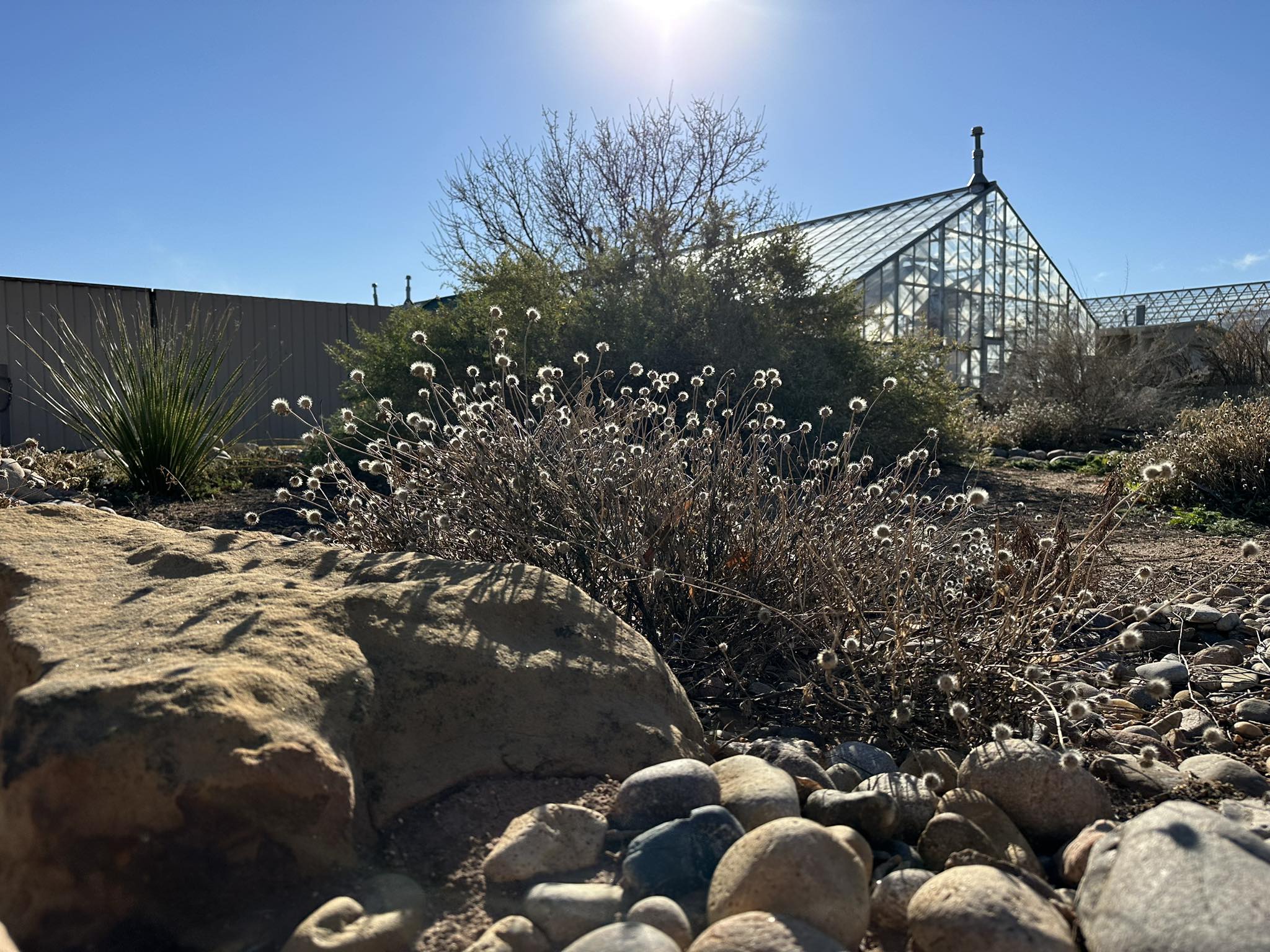 Native Pollinator Garden