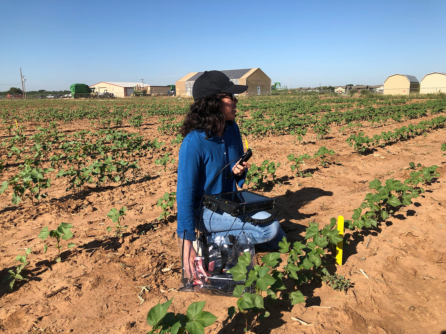 Crop Physiology Research Laboratory