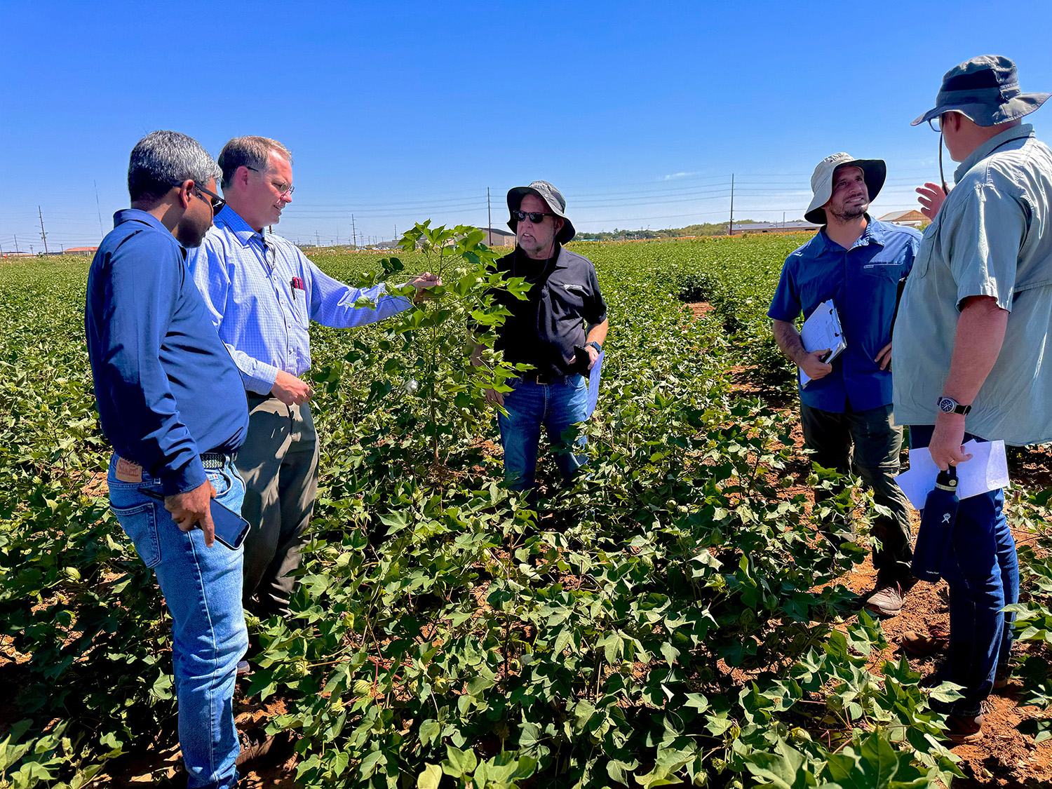 Crop Physiology Research Laboratory
