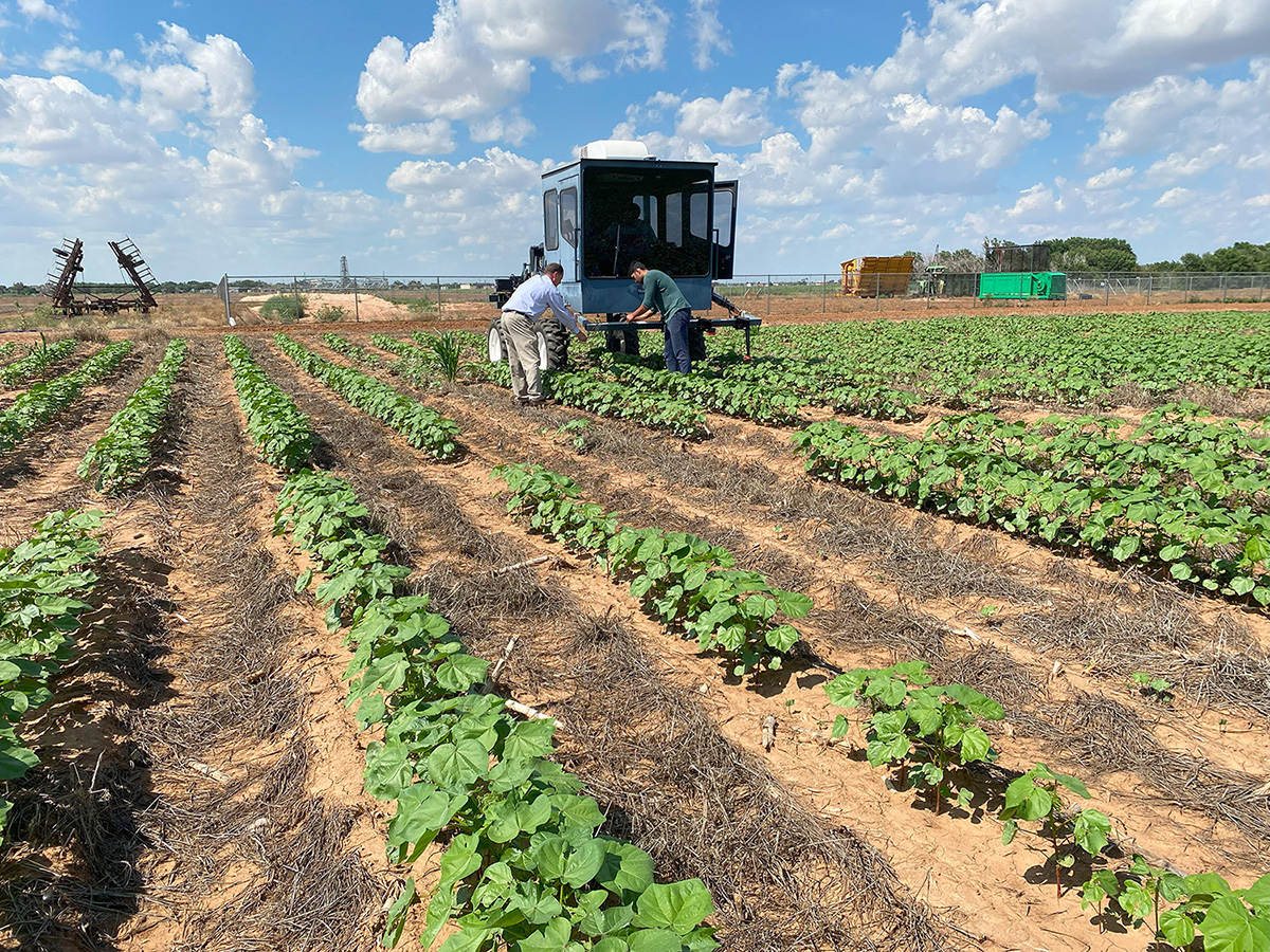 Crop Physiology Research Laboratory