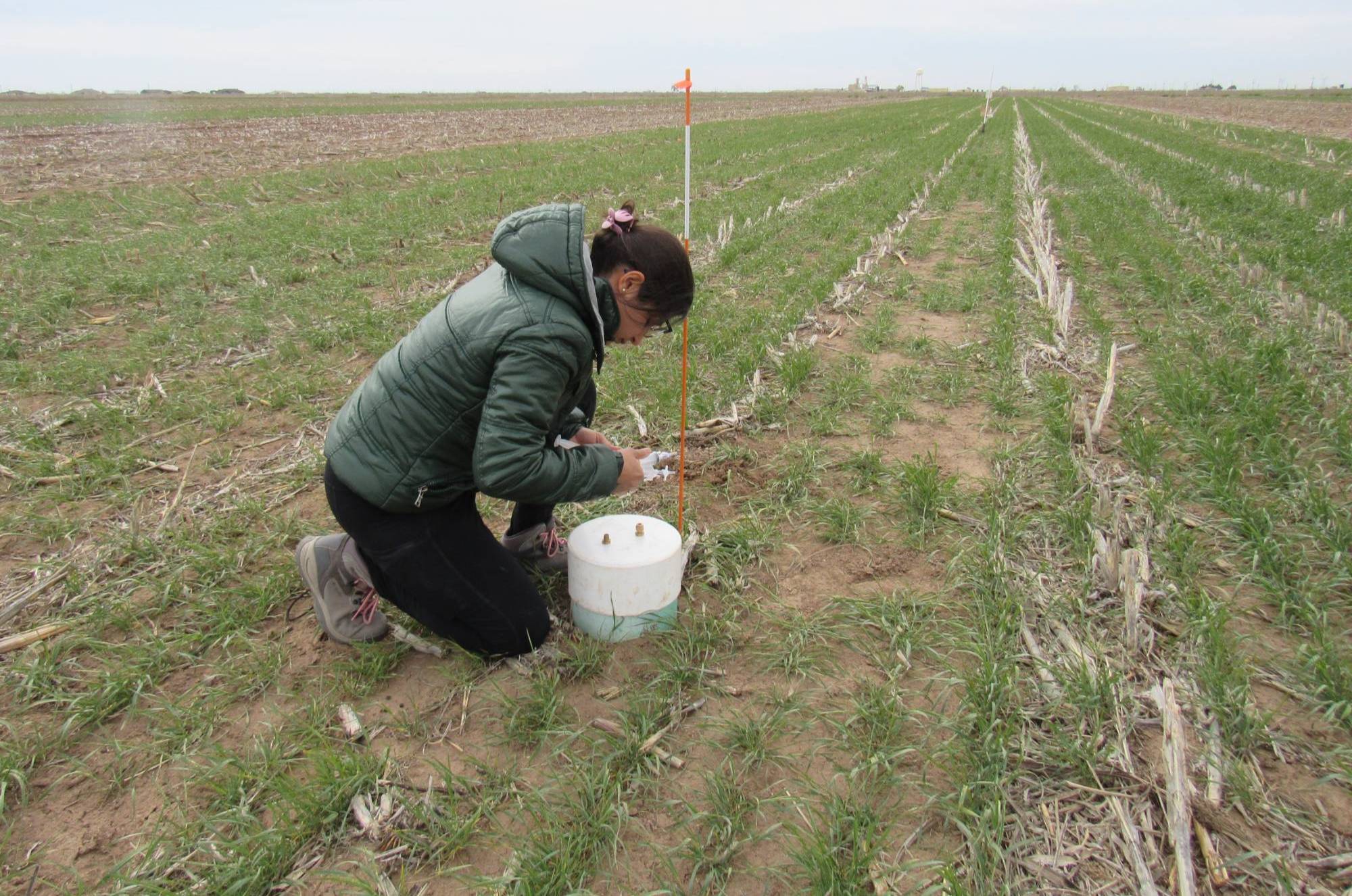 soil ecology lab