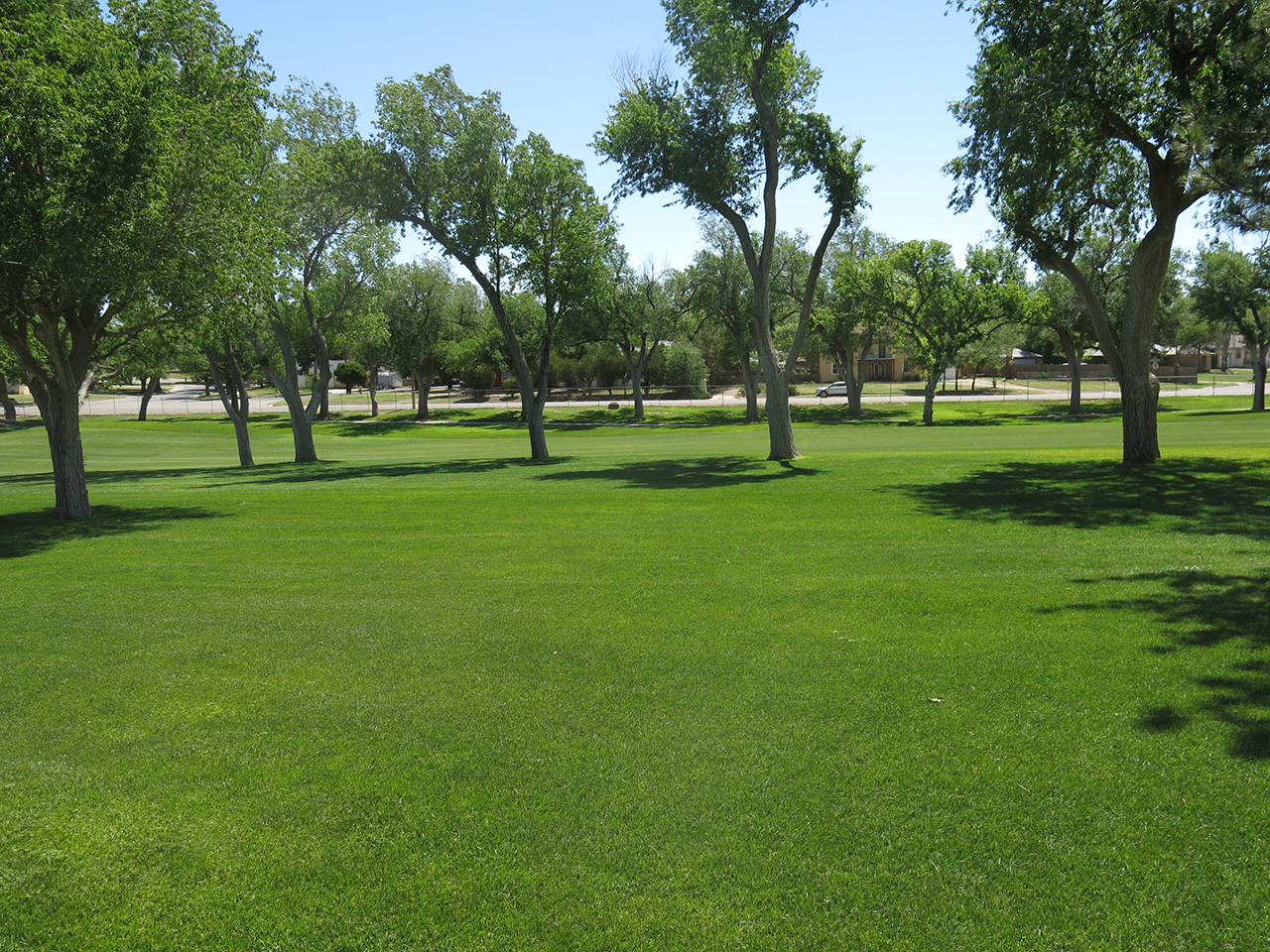 Image11