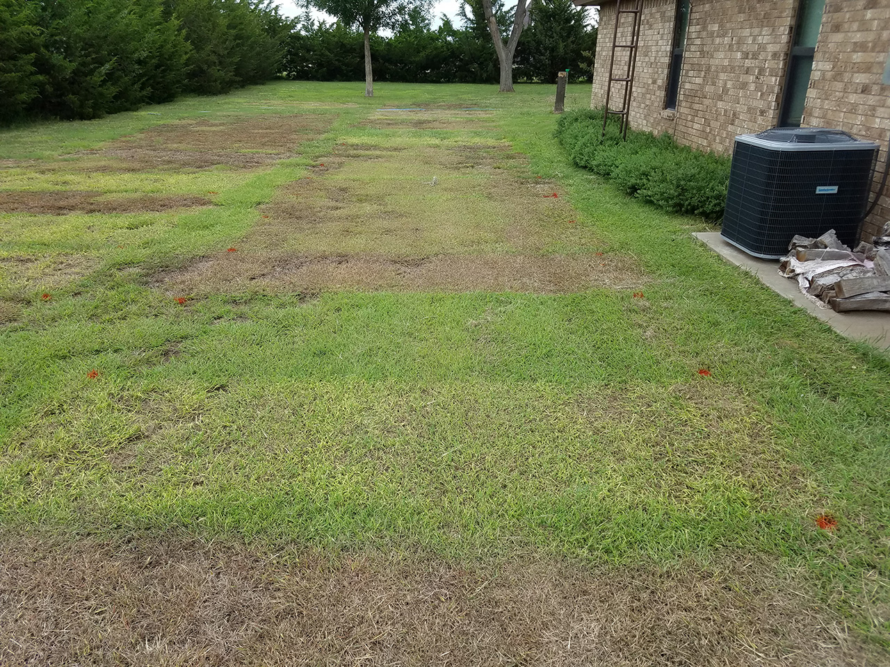 Image3