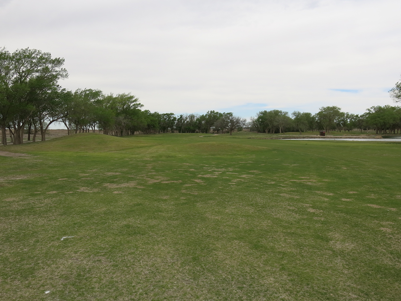 Image3