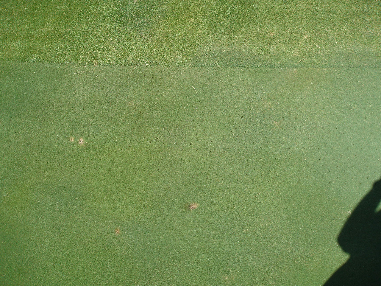 Image3