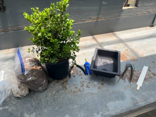 Bonsai Kit Materials
