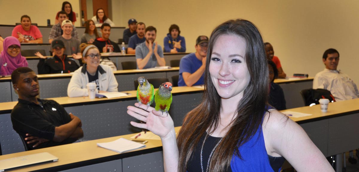 Demonstration using live parots in a psychological sciences class