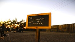 Fostering the Future Sign
