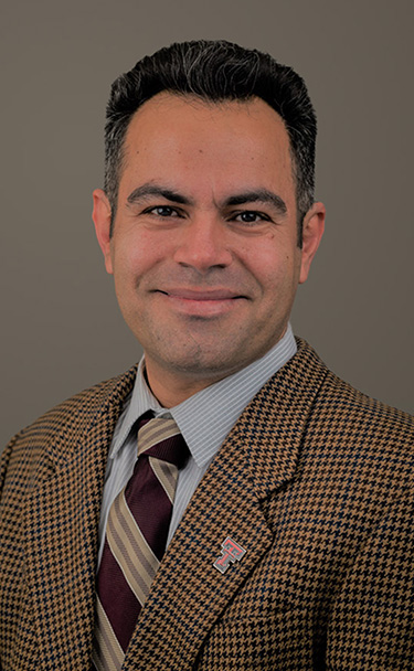 Ehsan Ghasemi Phd Management Information Systems