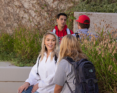 Students sitting talking skew