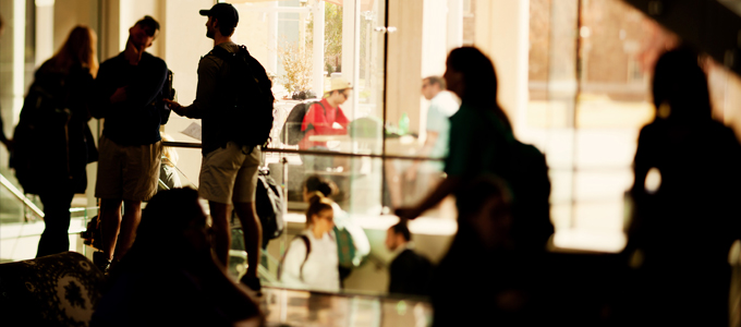 Upper division undergraduate coursework