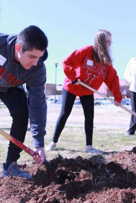 Tech students use shovels to move dirt.