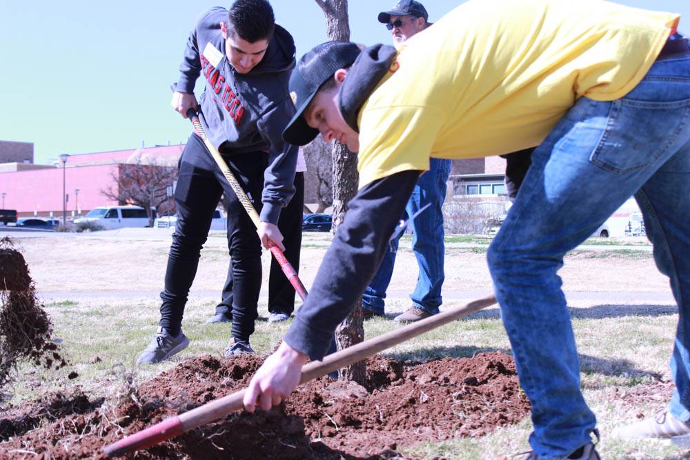 A Rawls student and DHL employee work together in planting a tree.