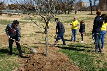 Students mingle with DHL employees while planting tree