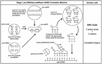 Placeholder Image Life Stage I