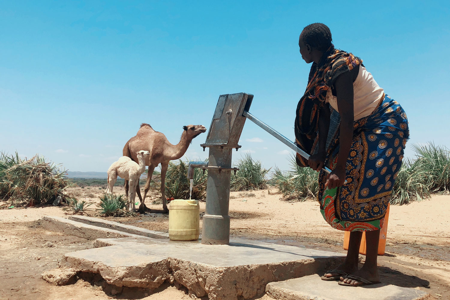 Woman pumping water.