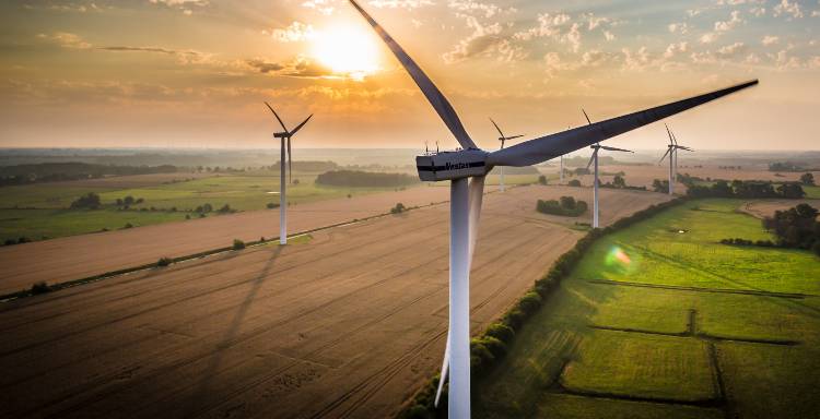 frosted_kochia Sunset Turbine
