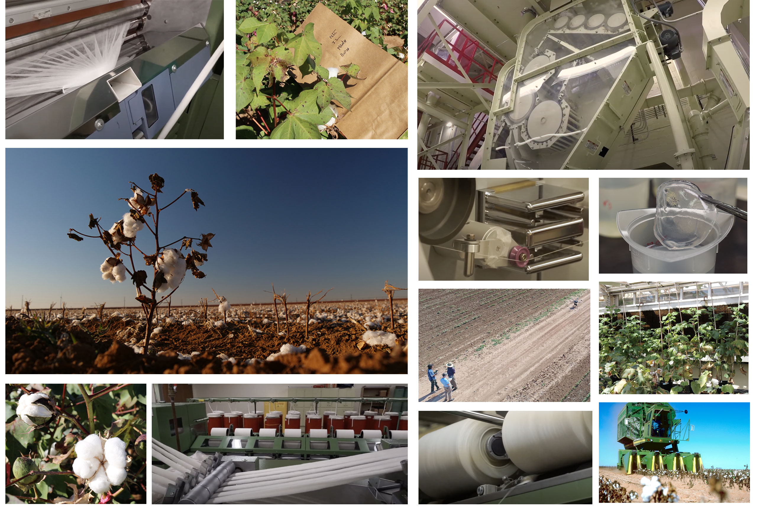 Texas Tech has researchers who work on cotton from the field to the fabric weaving process, all pictured here