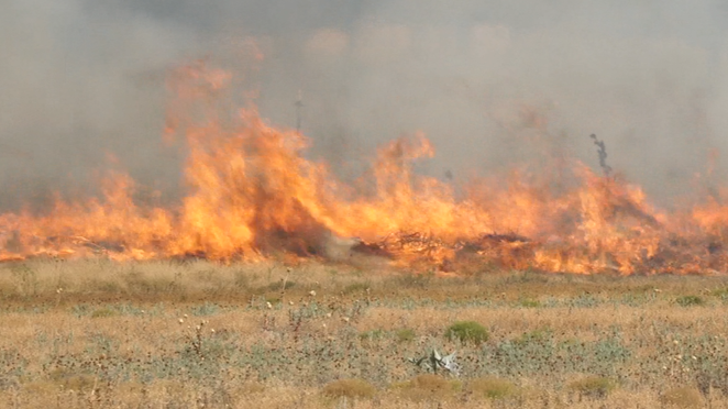 fire in a field