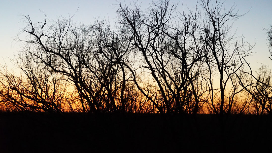 Sunrise at V Ranch near Slaton, TX.