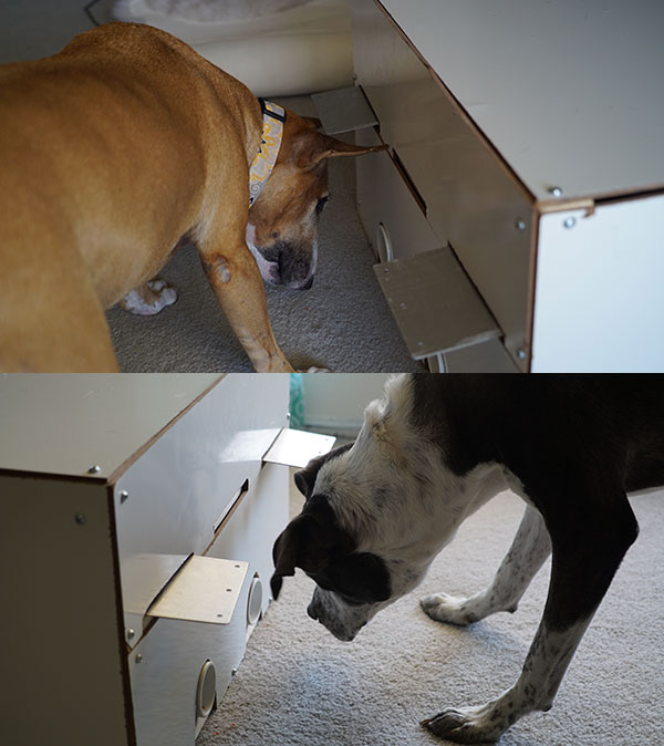 two dogs at treat machines