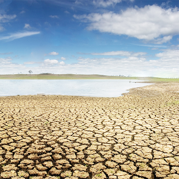 cracked dirt in forground, receding water in background