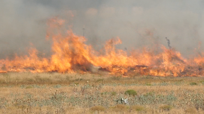Not All Fire is Bad: The Prescribed Burn Process at Lubbock Lake Landmark