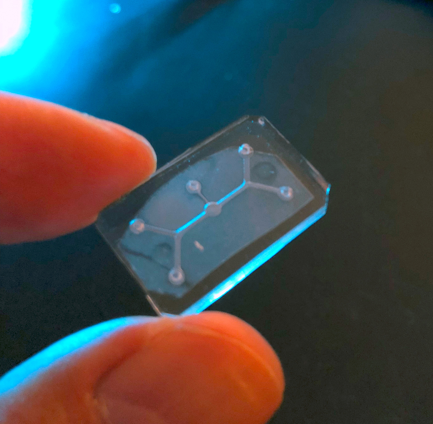 Cornea-on-a-chip