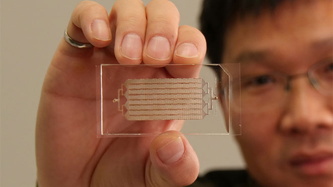 wei li holding microfilm on glass slide