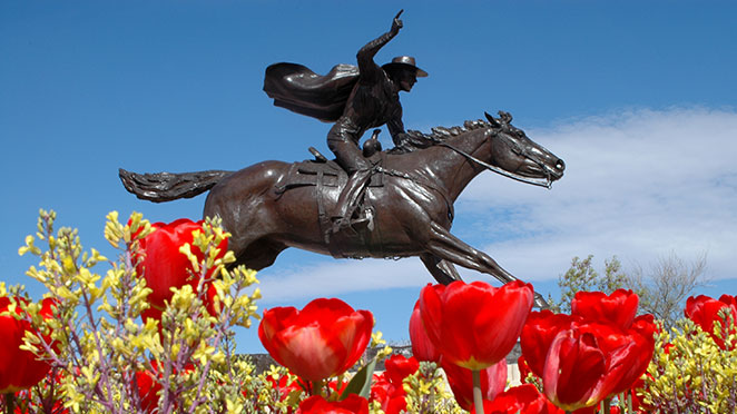 masked rider statue with tulips in the foreground