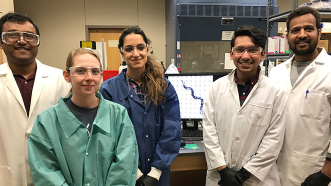 Vanapalli Lab group members working on the worm muscle strength space-flight experiment. Standing from left to right are Mizanur Rahman, Hunter Edwards, Leila Lesanpezeshki, Taslim Anupom and Purushottam Soni.
